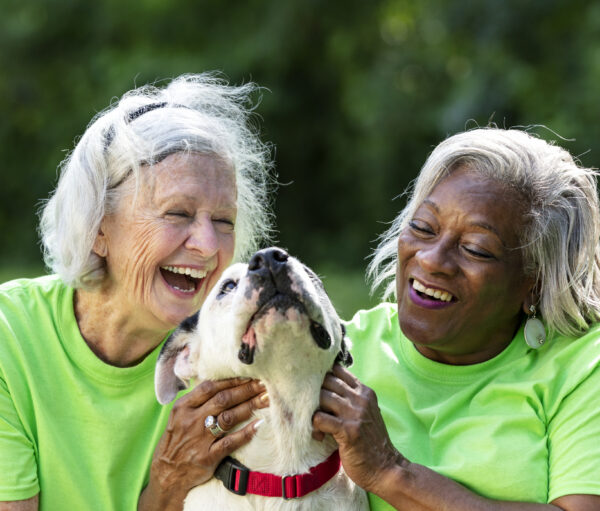 Two multiracial senior women volunteering at an animal shelter. They are sitting on the grass with a mixed-breed dog, petting it, smiling and laughing. The African-American woman is in her 60s and her friend is in her 70s.